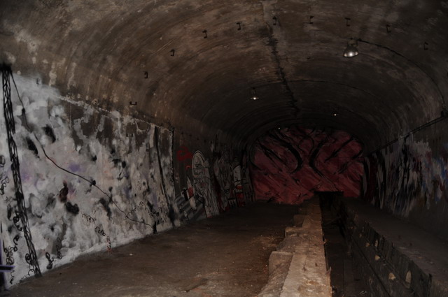 DSC_1319