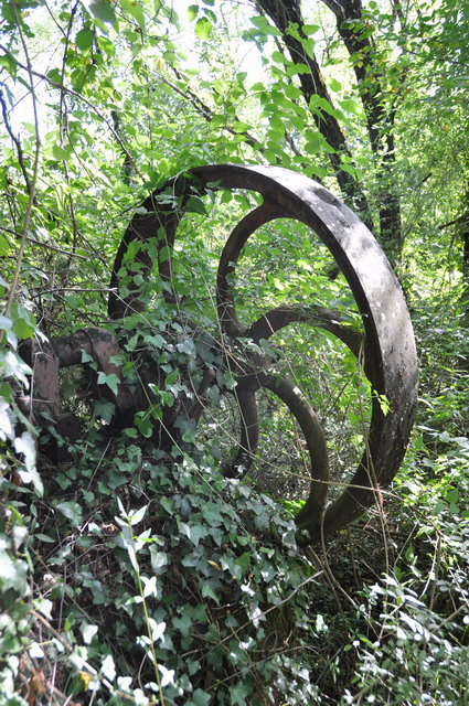 DSC_1032