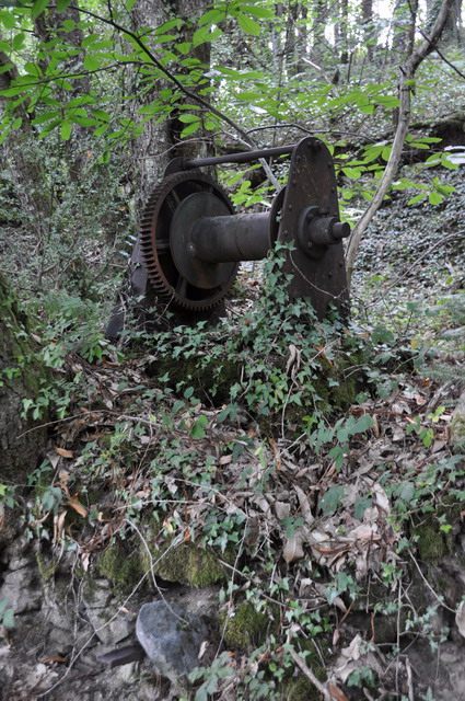 DSC_1158