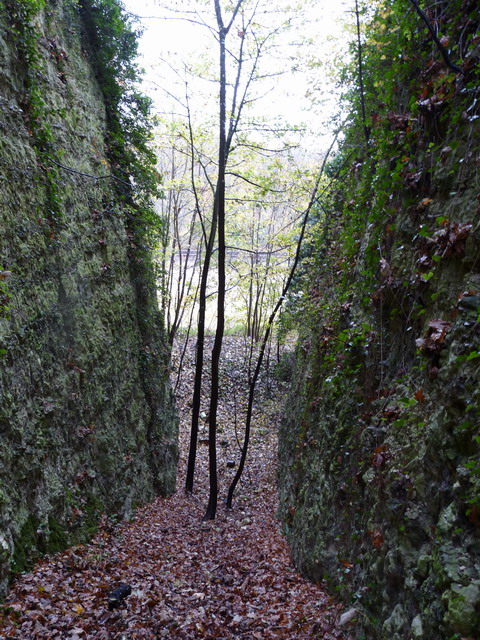 P1070321