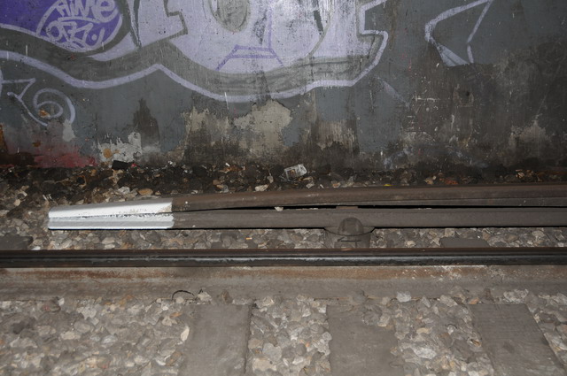 DSC_0800