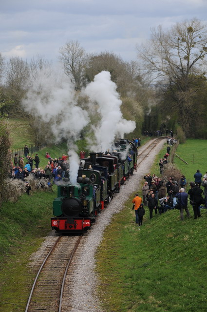 DSC_4600